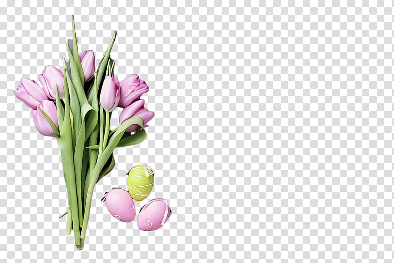 flower plant cut flowers tulip petal, Bud, Chives, Lily Family transparent background PNG clipart