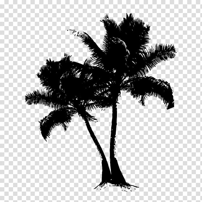 Palm Tree Silhouette, Asian Palmyra Palm, Date Palm, Branching, Borassus, Arecales, Plant, Coconut transparent background PNG clipart