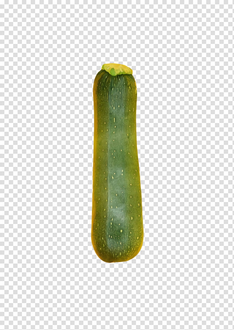 green cucumber cucumis, Watercolor, Paint, Wet Ink transparent background PNG clipart