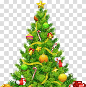 Christmas tree, Colorado Spruce, Christmas Decoration, Oregon Pine, Christmas 
, Christmas Ornament, Shortleaf Black Spruce, Plant transparent background PNG clipart thumbnail