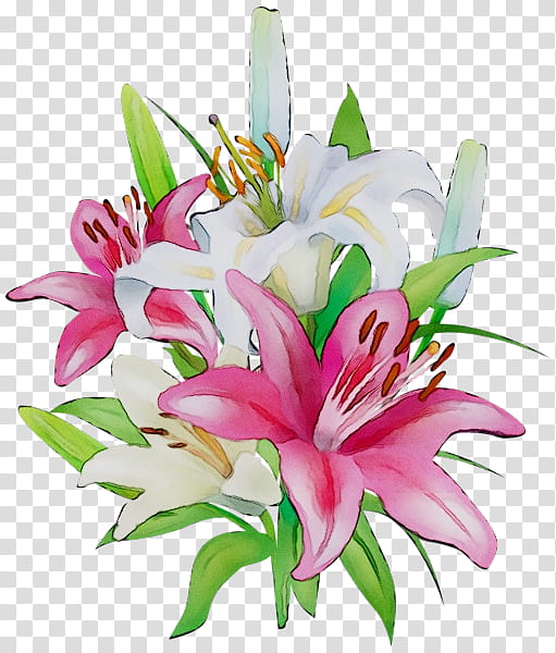 Easter Lily, Flower, Lily stargazer, Tiger Lily, Pink Flowers, Calla Lily, Madonna Lily, Lily Of The Incas transparent background PNG clipart