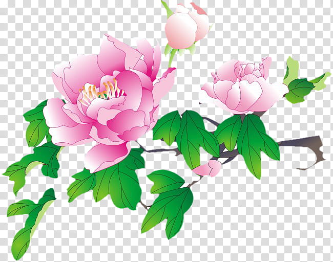 Flower Art Watercolor, Moutan Peony, Watercolor Painting, Drawing, Rose, Artificial Flower, Paeoniaceae, Paeonia Sect Moutan transparent background PNG clipart