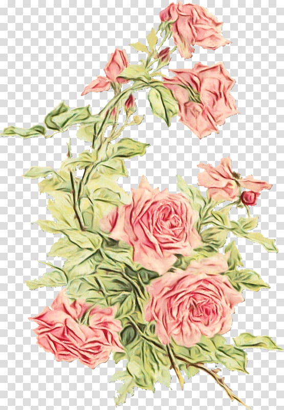Watercolor Pink Flowers, Rose, Princess Peach, Flower Bouquet, Floral Design, Painting, Green, Garden Roses transparent background PNG clipart