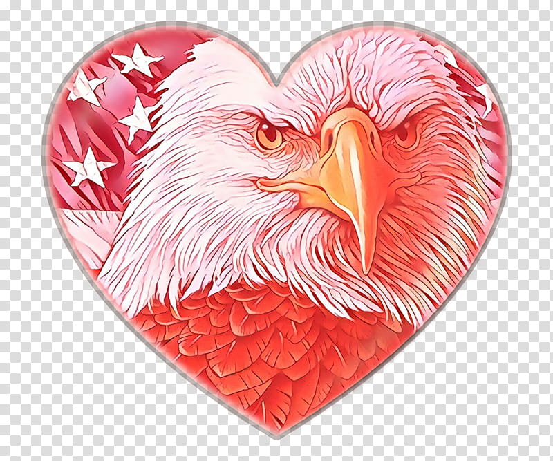 Art Abstract, Cartoon, Bald Eagle, United States, Flag Of The United States, Painting, Beak, Abstract Art transparent background PNG clipart