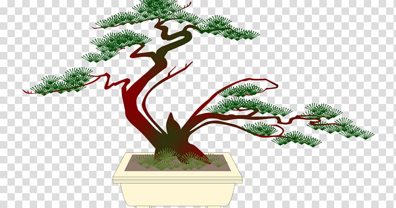 Family Tree, Bonsai, Popular Bonsai, Flowerpot, Plants, Pine, Vase, Gardening transparent background PNG clipart