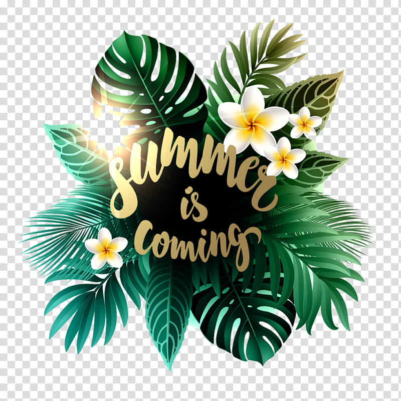 Summer Floral, Flower, Floral Design, Summer
, Leaf, Watercolor Painting, Plant transparent background PNG clipart