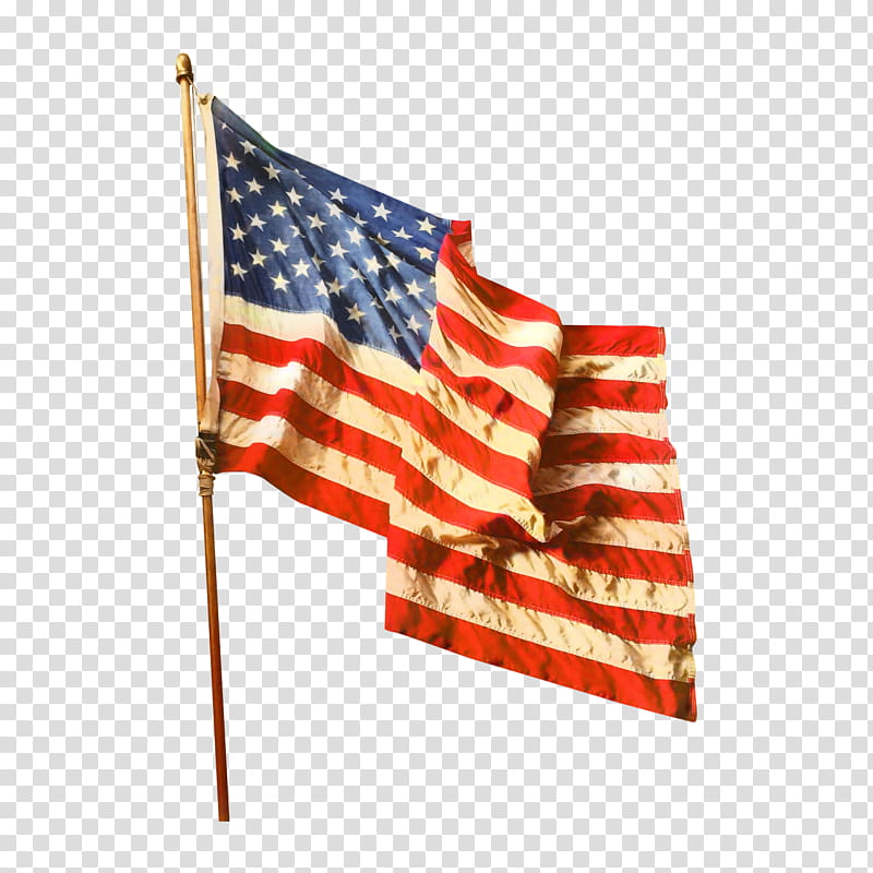 Veterans Day United States, Flag Of The United States, Flag Day Usa transparent background PNG clipart