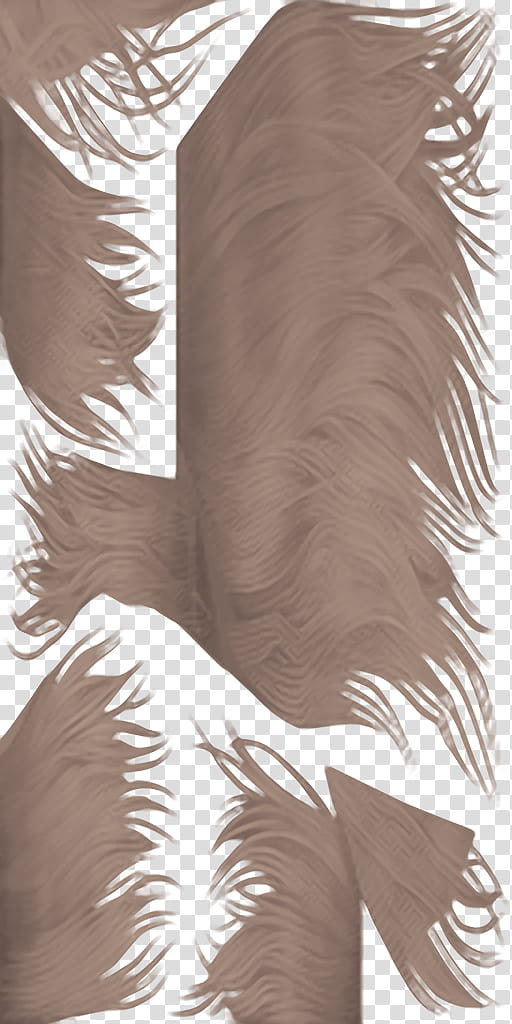 Final Fantasy XII Ashelia B nargin Dalmasca, brown hair strands illustration transparent background PNG clipart
