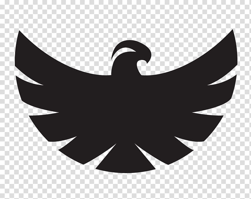 Eagle Logo, Hawk, Symbol, Bird, Emblem, Falcon, Black White M, Sign transparent background PNG clipart