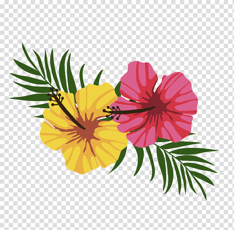 Hawaiian Flower, Rosemallows, Yellow, Annual Plant, Family M Invest Doo, Plants, Pnk, Hawaiian Hibiscus transparent background PNG clipart