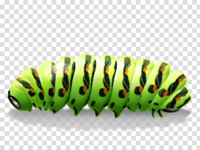 Caterpillar, Butterfly, Black Swallowtail, Green Swallowtail, Larva, Insect, Papilio Machaon, Moths And Butterflies transparent background PNG clipart