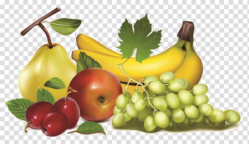 Tree Of Life, Fruit, Apple, Pear, Banana, Grape, Vegetable, Natural Foods transparent background PNG clipart