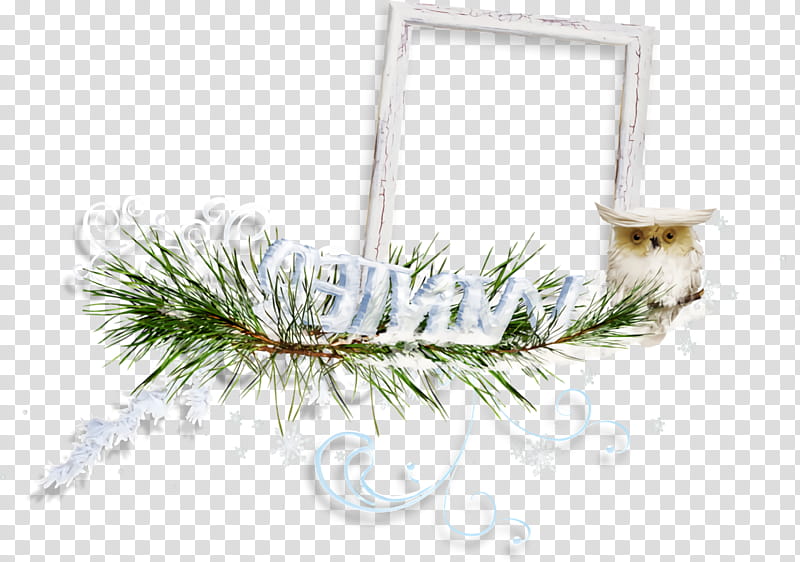 Christmas frame Christmas border Christmas decor, Christmas , White Pine, Colorado Spruce, Oregon Pine, Lodgepole Pine, Branch, Fir transparent background PNG clipart