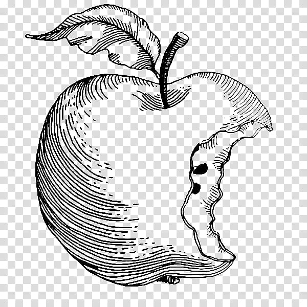 Apple Tree Drawing, Black White M, Line Art, Fruit, Steve Wozniak, Head, Nose, Plant transparent background PNG clipart
