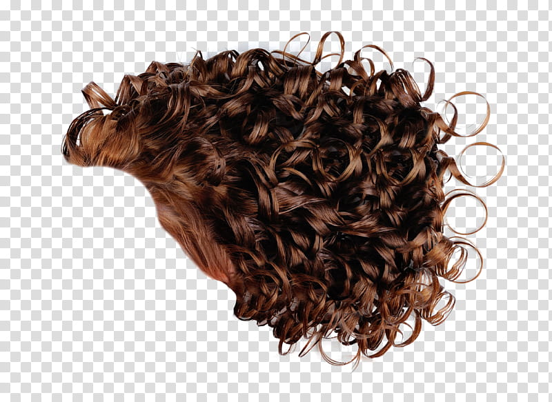 Hair , brown hair wig transparent background PNG clipart