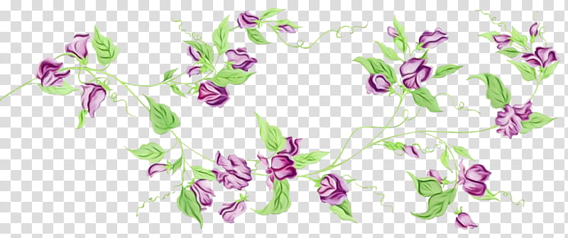 Sweet Pea Flower, Floral Design, Rose, Vine, Vase, Sticker, Purple, Petal transparent background PNG clipart