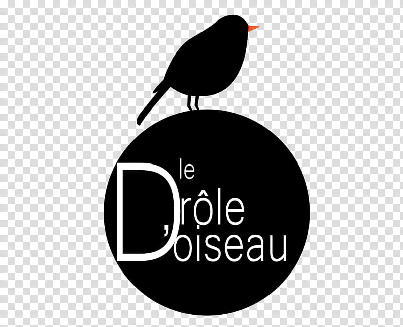 Bird Logo, Beak, Blackbird, Perching Bird, Songbird, Circle, Crowlike Bird transparent background PNG clipart