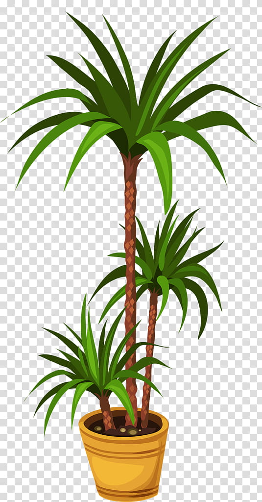 Coconut Tree Drawing, Palm Trees, Flower, Floral Design, Houseplant, Flowerpot, Terrestrial Plant, Yucca transparent background PNG clipart