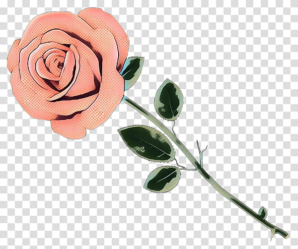 Garden roses, Pop Art, Retro, Vintage, Flower, Pink, Plant, Cut Flowers transparent background PNG clipart