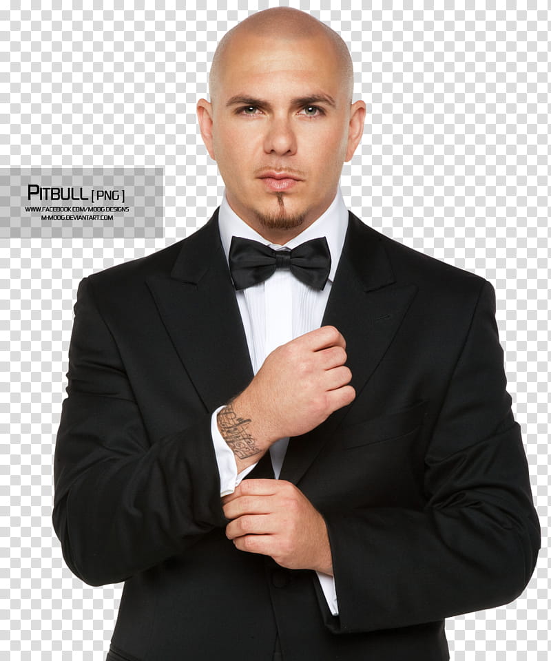 Pitbull transparent background PNG clipart