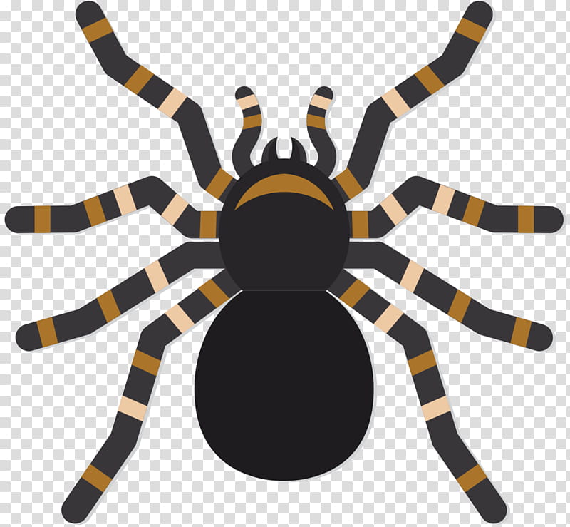 Cartoon Spider, Insect, Pollinator, Membrane, Tarantula, Arachnid, Orbweaver Spider transparent background PNG clipart