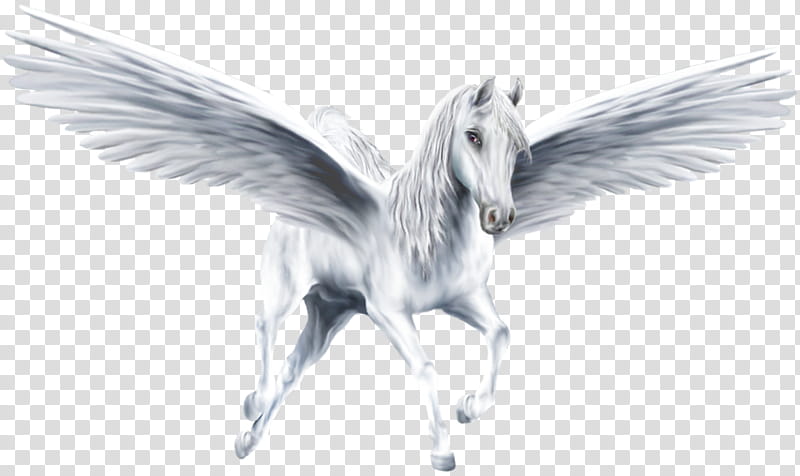 Unicorn Drawing, Pegasus, Horse, Flying Horses, Animation, Mythology, Mane, Animal Figure transparent background PNG clipart