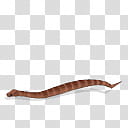 Spore creature Copperhead transparent background PNG clipart