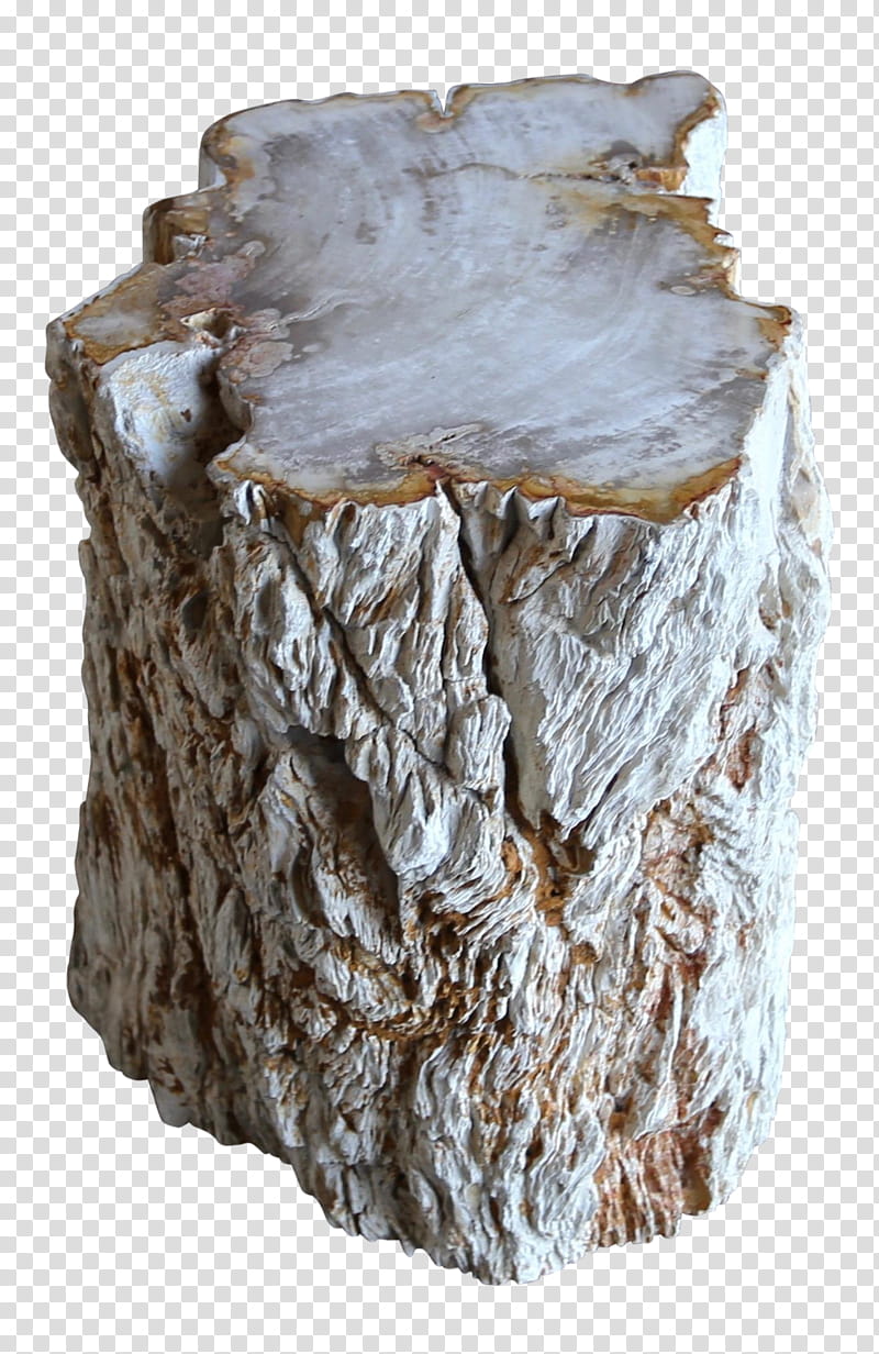 Tree Stump, Table, End Tables, Wood, 20th Century, Stool, Petrified Wood, Living Room transparent background PNG clipart