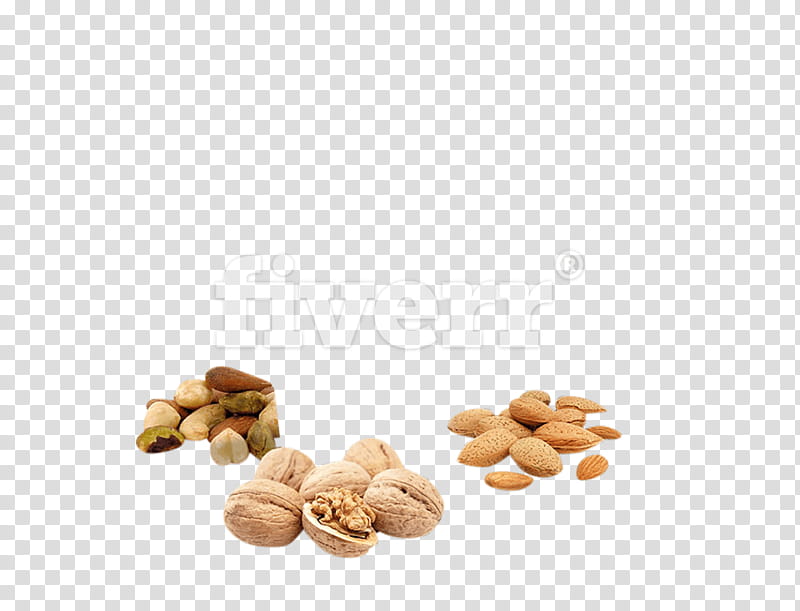 Family Tree, Pistachio, Nut, Areca Nut, Mixed Nuts, Peanut, Tree Nut Allergy, Betel transparent background PNG clipart
