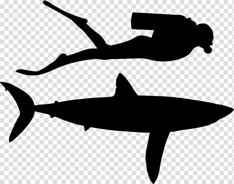 Great White Shark, Line, Silhouette, Fin, Fish, Cartilaginous Fish, Requiem Shark, Lamniformes transparent background PNG clipart