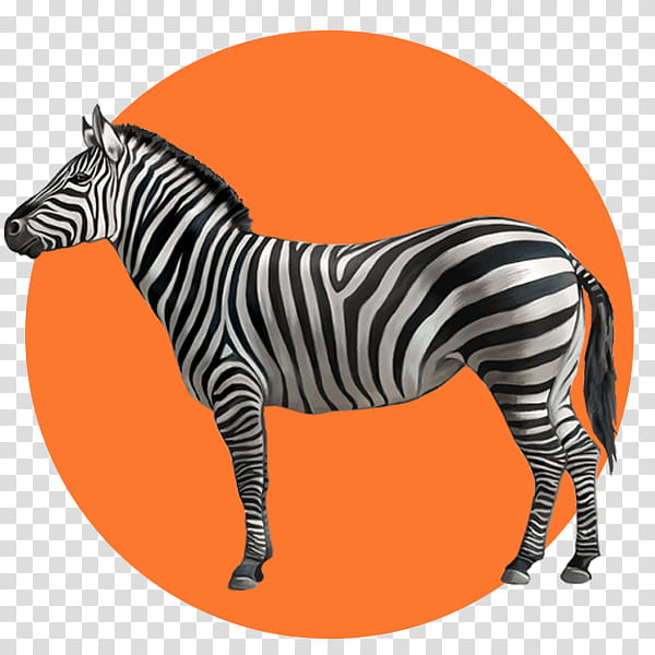 Zebra, Silhouette, Encapsulated PostScript, Drawing, Zebra Crossing, , Vertebrate, Mammal transparent background PNG clipart