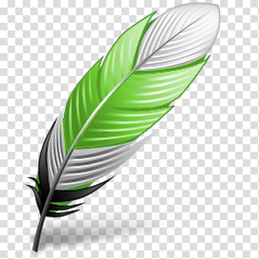 Plant Leaf, Feather, Bird, Eagle Feather Law, Flight Feather, Computer Software, Quill transparent background PNG clipart