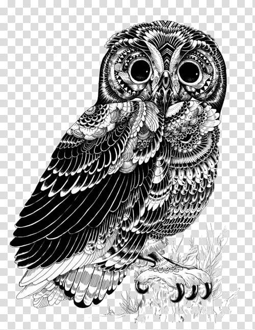 WATCHERS, black and white owl illustration transparent background PNG clipart