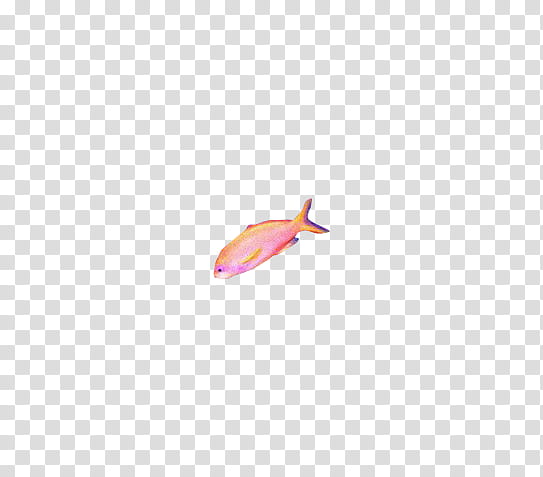 Amazing fishes, pink pet fish transparent background PNG clipart