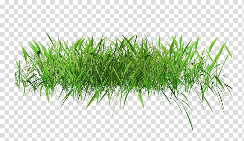 D Spring Grass, green grass illustration transparent background PNG clipart