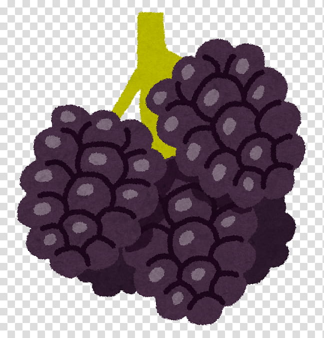 Grape, Smoothie, Boysenberry, Fruit, Food, Berries, Milkshake, Grapevines transparent background PNG clipart