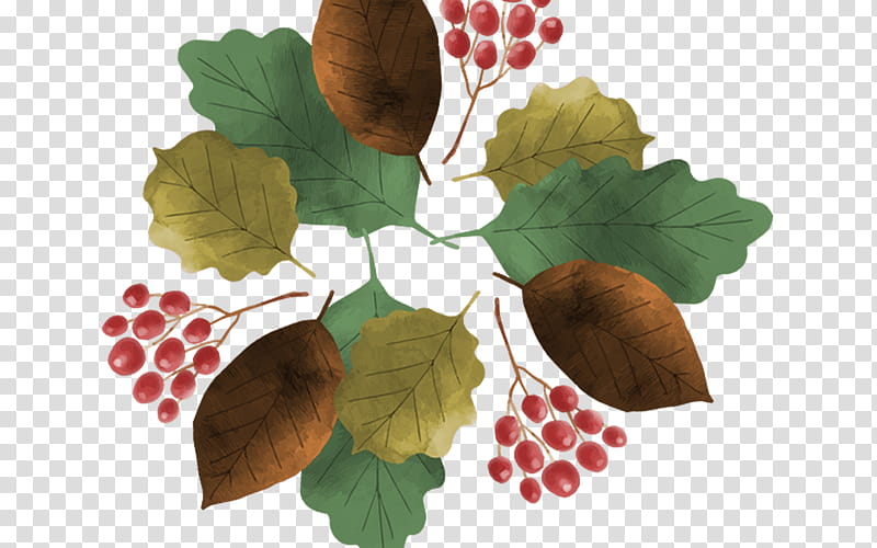 Autumn Leaves Watercolor, Watercolor Painting, Grape Leaves, Leaf, Plant, Flower, Plane, Vitis transparent background PNG clipart