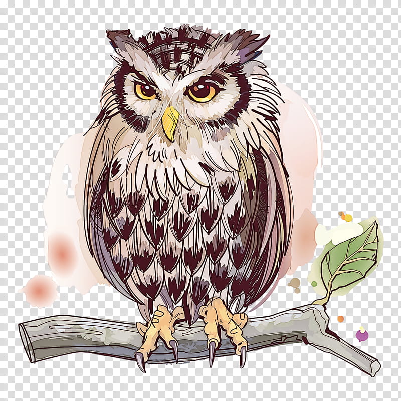 owl bird bird of prey beak watercolor paint, Cartoon, Falconiformes, Drawing transparent background PNG clipart