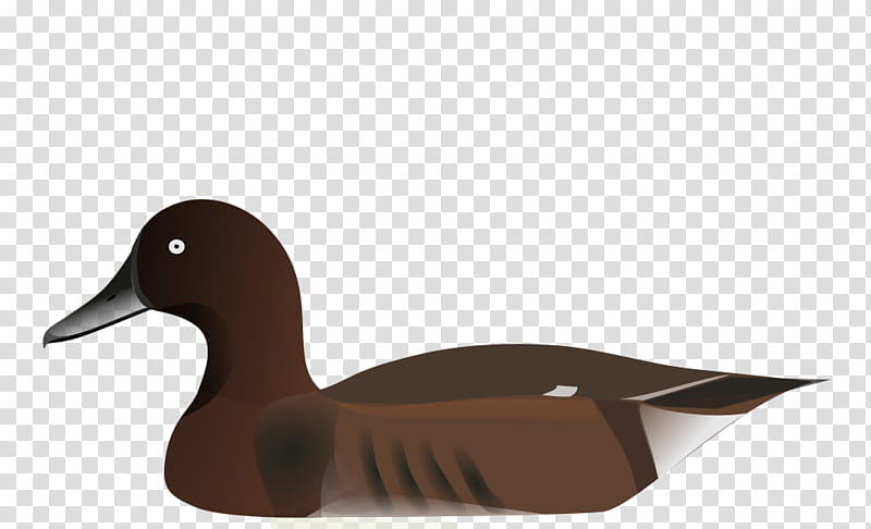 Duck, Madagascan Pochard, Tufted Duck, Madagascar, East, Genre, Industrial Design, Past transparent background PNG clipart