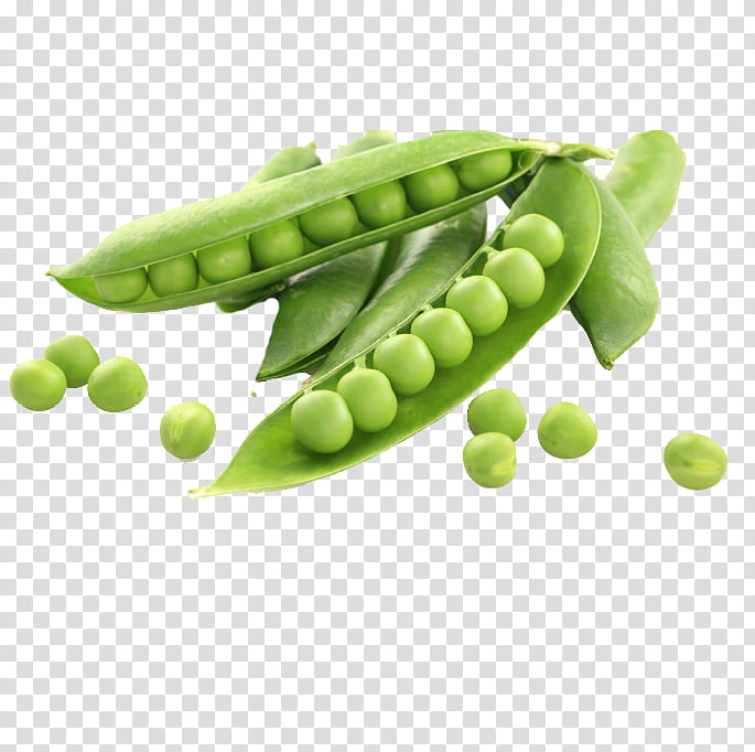 pea legume snap pea snow peas green, Vegetable, Green Bean, Plant, Legume Family, Edamame transparent background PNG clipart