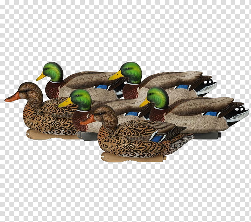 Gear, Mallard, Duck Decoy, Greenhead Gear, Avianx, Avery, Hunting, Wood Duck transparent background PNG clipart
