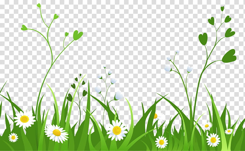 Green Grass, Lawn, Microsoft PowerPoint, Computer, Flower, Meadow, Daisy, Grassland, Flora, Plant transparent background PNG clipart