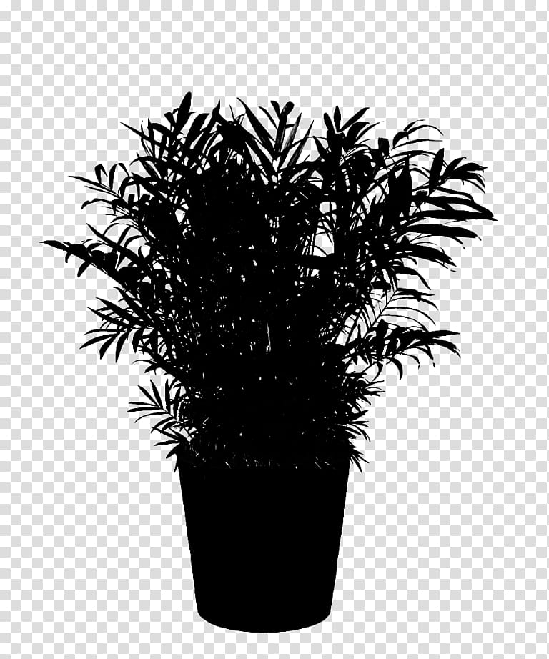Black And White Flower, Palm Trees, Black White M, Flowerpot, Houseplant, Arecales, Woody Plant, Grass transparent background PNG clipart
