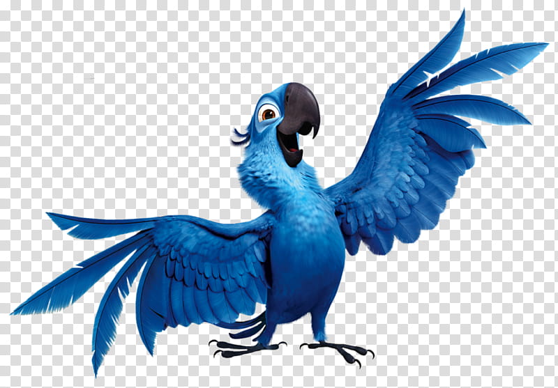 angry birds rio blu and jewel