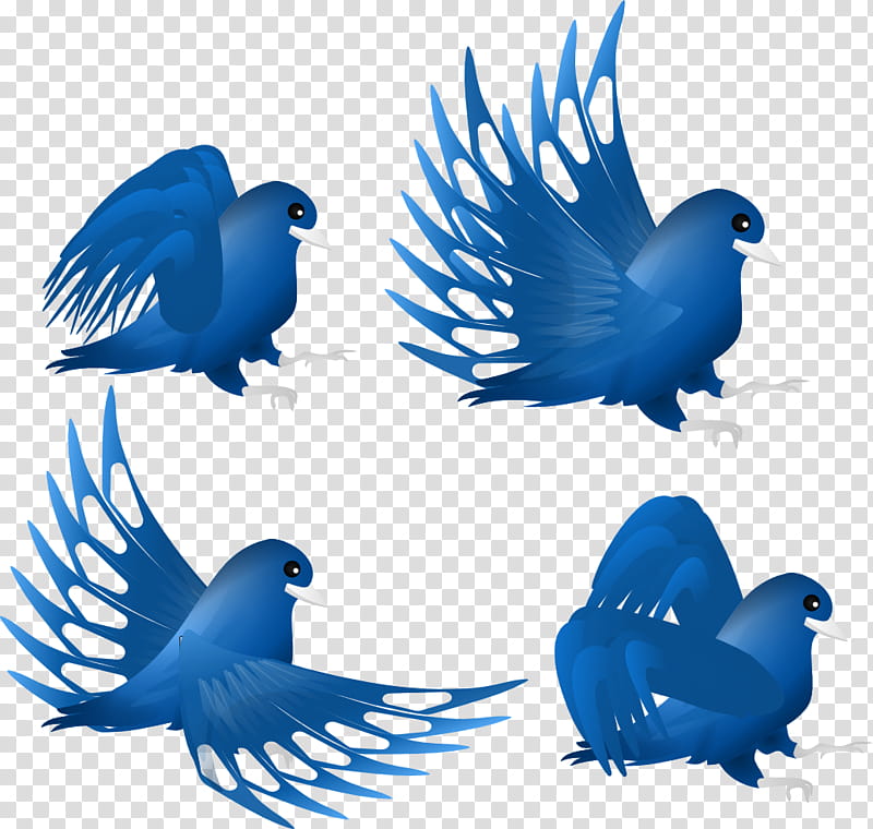 Bird Wing, Feather, Macaw, Parakeet, Beak, Bluebirds, Bluebird Systems Inc, Bird Flight transparent background PNG clipart