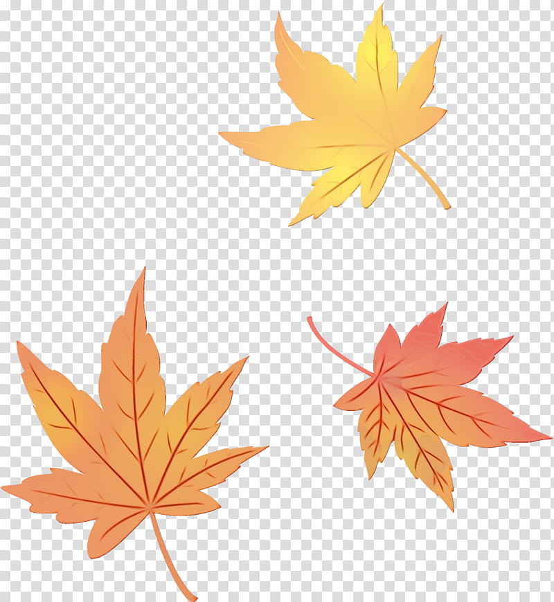 Maple leaf, Watercolor, Paint, Wet Ink, Tree, Plant, Woody Plant, Black Maple transparent background PNG clipart Maple leaf, Watercolor, Paint, Wet Ink, Tree, Plant, Woody Plant, Black Maple transparent background PNG clipart