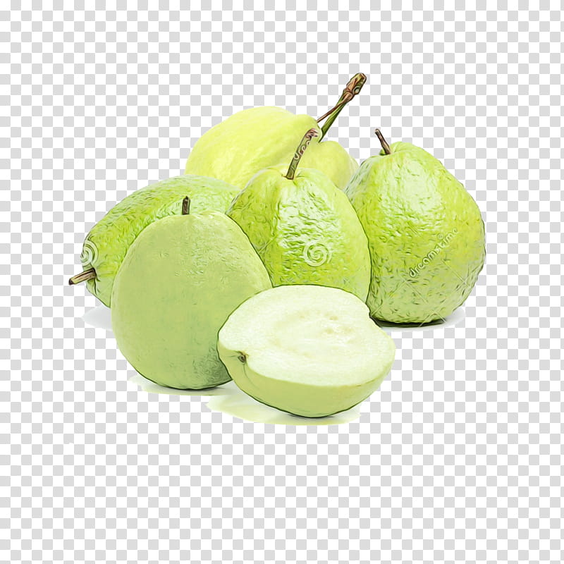 Fruit Tree, Pear, Common Guava, Superfood, Fahrenheit, Plant transparent background PNG clipart